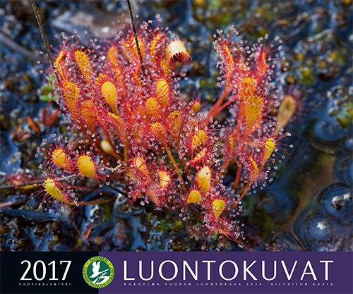 Vuoden Luontokuvat (2017) -kalenteri Vuoden Luontokuvat (2017) -kalenteri